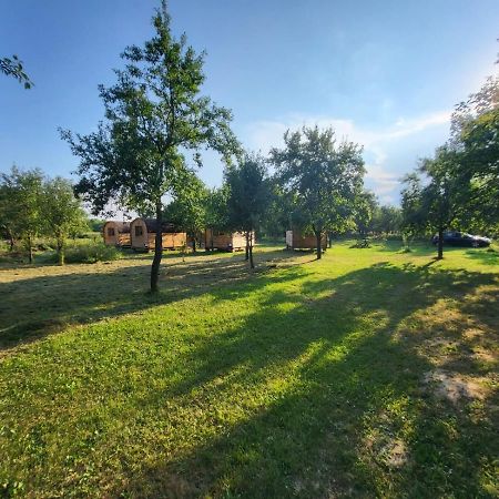 Cristel Casuta Fara Ganduri Hotel Mesentea Exterior foto